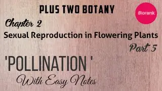 #plustwobotanymalayalam#online class        Plustwo botany second chapter part5 & note. biorank