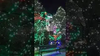 Turtle Back Zoo Holiday Lights 2024