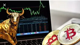 bitcoin btc above 11k, 15k incoming? eth ontology ada Quant neo ltc to the moon