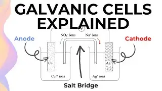 Galvanic Cells Explained with Examples // HSC Chemistry