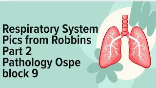 Pathology Ospe Block 9 | Lung pathology Part 2 | Pics from Robbins 