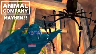 ANIMAL COMPANY MAYHEM!!