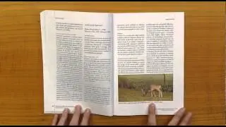 Impatto dei Cervidi negli ecosistemi forestali