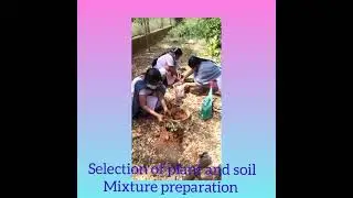 ALC - BOTANY: STUDENT PROJECT- BONSAI CULTIVATION