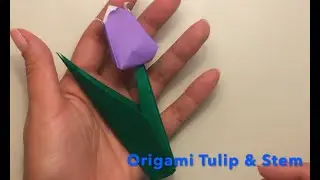 Origami for Beginners: Tulip and Stem