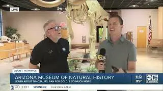See inside the Arizona Museum of Natural History