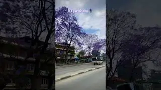The KTM City ❤️#ktm #kathmandu #nepal #shorts