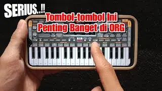 Pemula ORG Wajib Kuasai Dasar Ini!