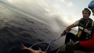Gulp Salmon Grub strikes again!