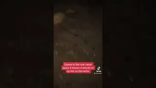 Vid&eacute;o dr&ocirc;le p&ecirc;che &agrave; la carpe 😂