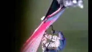 2009 ice surfing on Balaton, extreme sport for a high speed