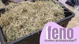 um pouco sobre o feno para porquinho da india | qual comprar? como armazenar? RECEBIDOS PAGOS :)