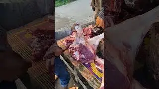Awesome Beef Paya Cutting #meatcuttingskills #meatmarket #meatprocessing