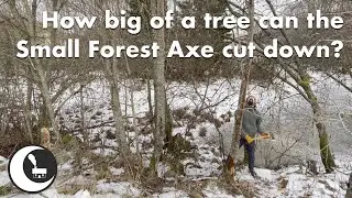 Cutting down a tree with the Small Forest Axe by Gr&auml;nsfors Bruk