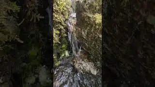 le cap trinit&eacute;  parc national du Saguenay #travel #canada_life #canadian #nature