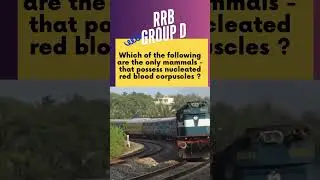 RRB previous year question #rrb #rrbgroupd #rrbntpc #rrbpreviousyearquestionpaper #rrbpreparation