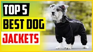 The 5 Best Dog Jackets of 2022