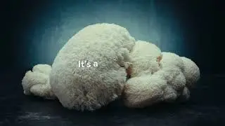 Om- Lion's Mane Mushroom Benefits