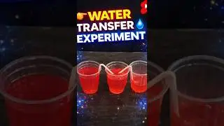 👉 Amazing Water Transfer Experiment 💧 | Science Short #Shorts #ScienceExperiment #waterexperiments