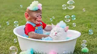 Monkey Nana the Tractor and the Funny Adventure of Bathing the Cat - NANA MONKEY LIFE 🐒🚜🐱🛁✨: