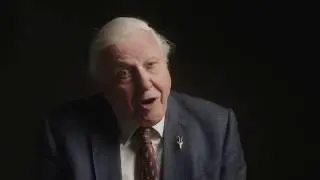 Lion&rsquo;s Share - Sir David Attenborough introduces the initiative to support animal welfare