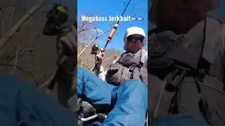 Big Smallmouth on Megabass Jerkait #kayakfishing #bassfishing #catchandrelease