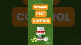 Organic Pest Control #casadeamor #neemoil #pestcontrol #gardeningtips #organicproduct #gardening
