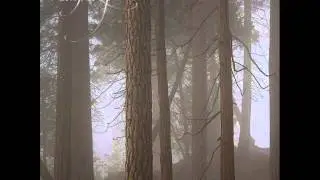 Landskap - Tomorrow's Ghost