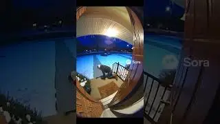 Tommy slipping on ice!!