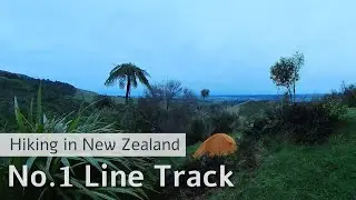 Silent hike on No.1 Line Track, Ruahine Forest Park, New Zealand