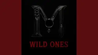 Wild Ones