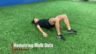 Hamstring Walk Outs