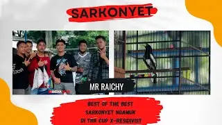 THR CUP | X-RESIDIVIST SARKONYET | MR RAICHY | D&B BROILER BABAD 4 KELAS SAMPAI BOB !