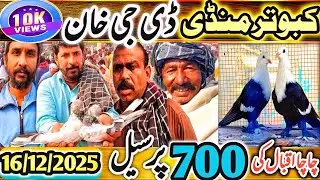 Kabootar Mandi | DGKHAN Latest Update 330 Vlog | DGKhan Kabutar Mandi | Chcha IQBAL 700 Sel Special 