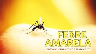 Febre Amarela - Sintomas, diagnóstico e tratamento | Sua Saúde na Rede