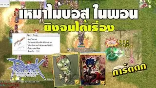 หักไม้บอสด้วยงบ 200 M จนได้เรื่องงานนี้กำไร/ขาดทุน สรุปเรื่องสุ่มอาวุธเหมือง l Ragnarok Gravity