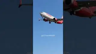 Corendon Airlines B737 - landing - Amsterdam Schiphol Airport #explore #aviation #corendon