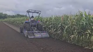 AMAZING TRACTOR TECHNIQUE: PREPARE YOUR FIELDS PERFECTLY IN NO TIME! -Agriculture Farming
