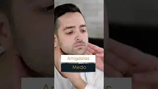 Causas emocionais que geram doen&ccedil;as#doen&ccedil;as #causaemocional#emocional#terapia#terapeuta