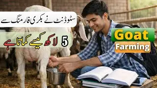 How a Student Can Start Goat Farming | Monthly Income From Small Goat Farm