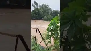 Pathankot live news chakki pull