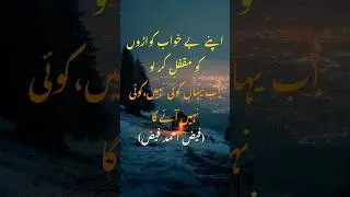 Phir koi aya dil e zaar nahin koi nahin,rahroo hoga kahin aur chala jaye ga.#faiz #shortfeed #poetry