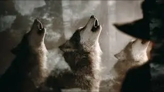 M Man Music - Howl With the Wolves (Country)
