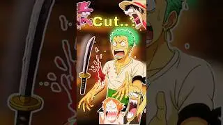 &ldquo;What If Zoro Lost His Hand During the Sandai Kitetsu Test?!&rdquo; #onepiece