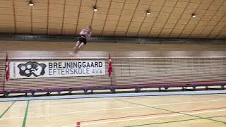 EM test 2 - senior herre
