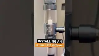 Cleaning out my Fluval 207 + installing an in-line CO2 diffuser! 🐠🧼