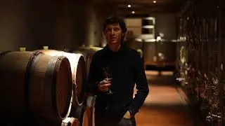 Primeur 2017 - Grand Cru Mambourg - Domaine Marcel Deiss