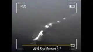 Giant Sea Monster | Viral Video