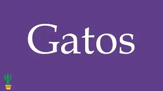 How to Pronounce ''Gatos'' (Cats) Correctly in Spanish 🇲🇽