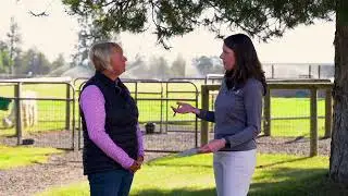 Monitoring Alpaca Herd Health featuring Amanda VandenBosch